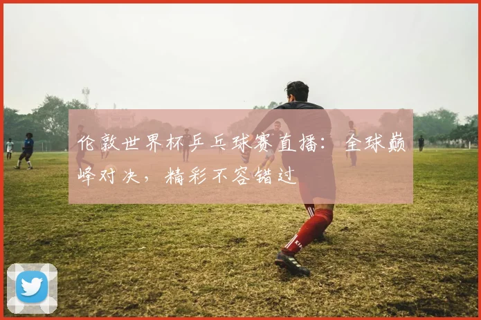 伦敦世界杯乒乓球赛直播：全球巅峰对决，精彩不容错过